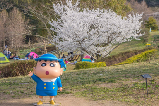 資訊圖片