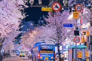資訊圖片
