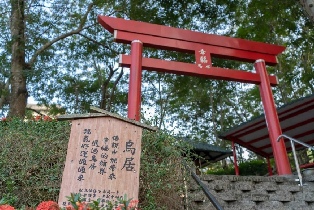 資訊圖片