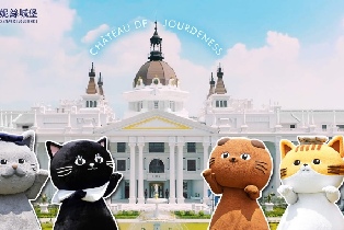 資訊圖片