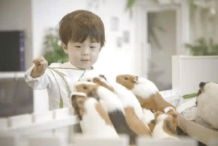 資訊圖片