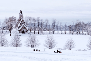 日本冬季限定-郡上八幡&牧歌之裏冰雪樂園+溫泉一日遊圖片