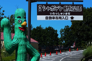 伊豆大室山城崎海岸觀海列車一日遊