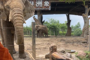 資訊圖片