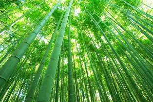 資訊圖片
