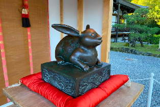 資訊圖片