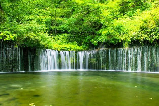 資訊圖片