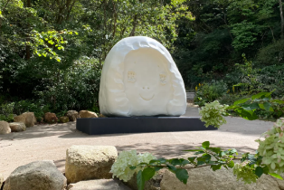資訊圖片