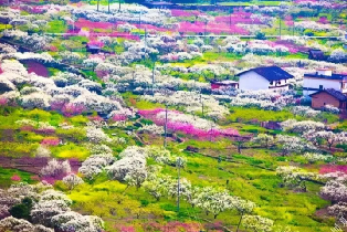 資訊圖片
