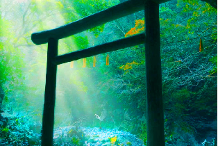 資訊圖片
