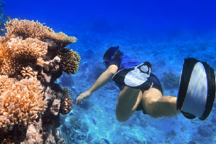 資訊圖片