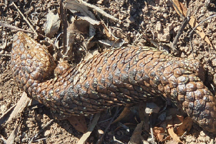 資訊圖片