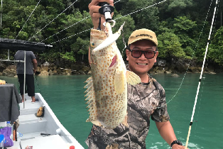 資訊圖片