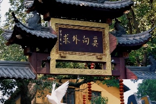 資訊圖片