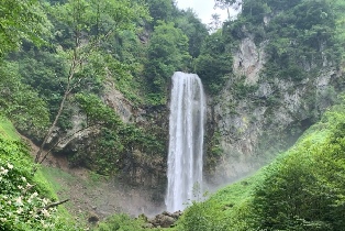 資訊圖片
