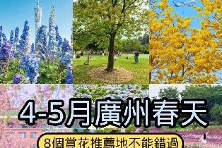 資訊圖片
