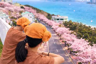 產品圖片