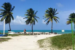 資訊圖片