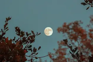 資訊圖片