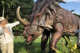資訊圖片