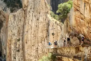 資訊圖片