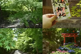 資訊圖片