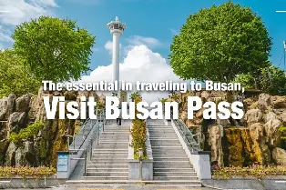 2026韩国釜山通行证购买 | VISIT BUSAN PASS 24/48小时电子票/实体卡