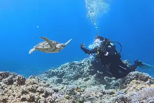 資訊圖片