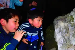 資訊圖片