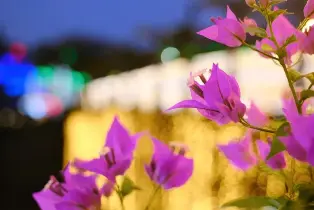 資訊圖片