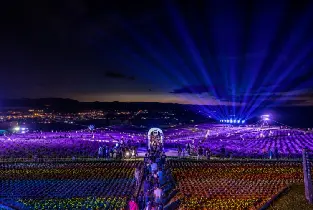 2026.7.4北海道富良野夏夜浪漫一日遊（日之出薰衣草燈海＆煙火泡泡秀&富田農場&精靈露台體驗）