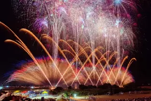 【東京出發】2026.9.12常陸鬼怒川花火＆秋日限定采梨＋暢吃＆奧特萊斯一日遊（含入場券）