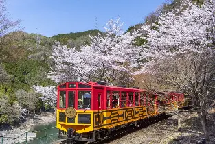 【京都出發】嵯峨野小火車＆保津川遊船&嵐山自助餐＆自由散策一日遊