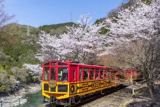 資訊圖片
