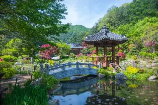 資訊圖片