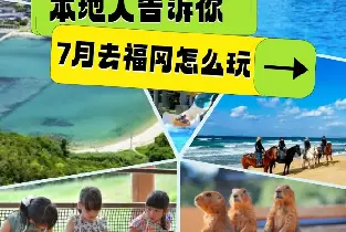 資訊圖片