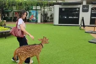 資訊圖片