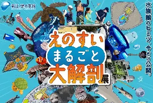 資訊圖片