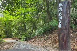 資訊圖片