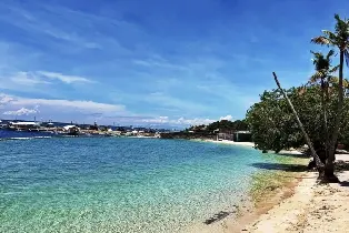 資訊圖片