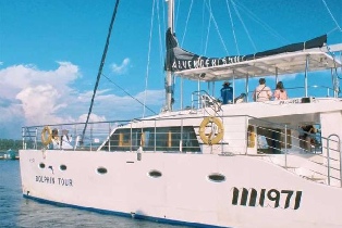 Jeju Island M1971 Yacht Club Dolphin Watching Yacht Ticket