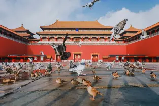 資訊圖片
