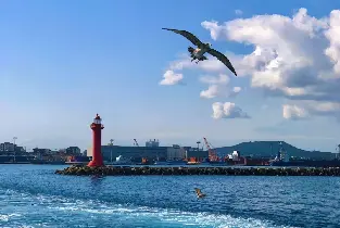 【5大網紅景點】韓國濟州島牛島一日遊|含上島費|14人小團