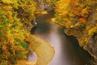 【1人成團】2026札幌出發：定山溪紅葉＆豐平峽電氣巴士＆余市NITORI觀光果園採果＆田中酒造亀甲蔵清酒試飲＆小樽運河一日遊