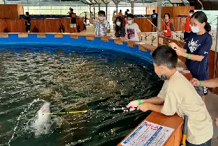 資訊圖片