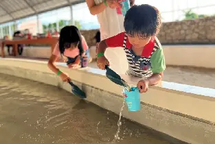 資訊圖片