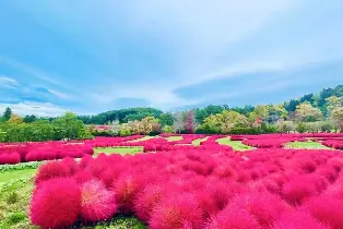 資訊圖片