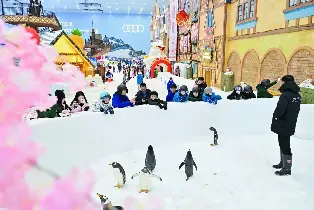 資訊圖片
