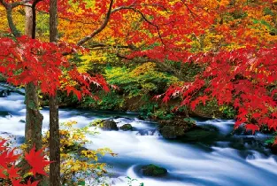 【1人成團】2026東北青森奧入瀨&十和田湖&弘前公園賞楓一日遊（早鳥優惠）