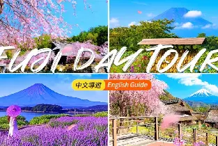 【1人成團】2026東京出發：新倉山淺間公園&忍野八海&河口湖大石公園/楓葉迴廊&西湖療癒之雷根場富士山一日遊